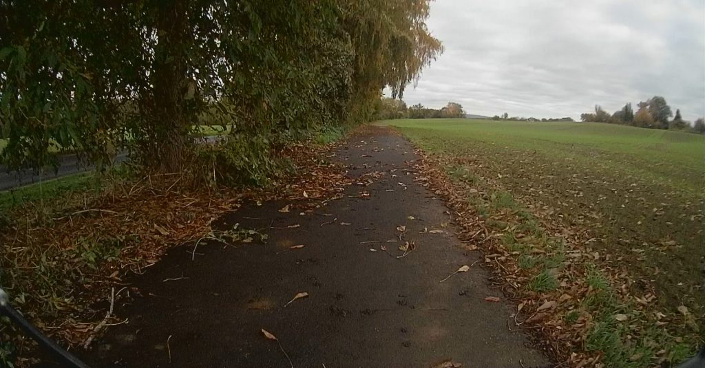 Asphaltierter Wirtschaftsweg. Linksseitige Bäume wachsen stark in den Verkehrsraum. Asphalt teils durch Lauf und Geäst nicht mehr zu erkennen.
